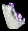 Dark Purple Amethyst Cut Base Cluster - Uruguay #36496-2